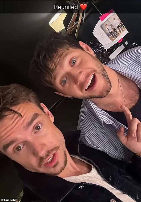 Liam Payne sat Niall Horan's concert just days before his death