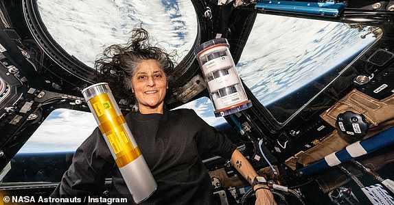 NASA astronaut Suni Williams displays science hardware housing bacteria and yeast samples in the cupola, aboard the ISS